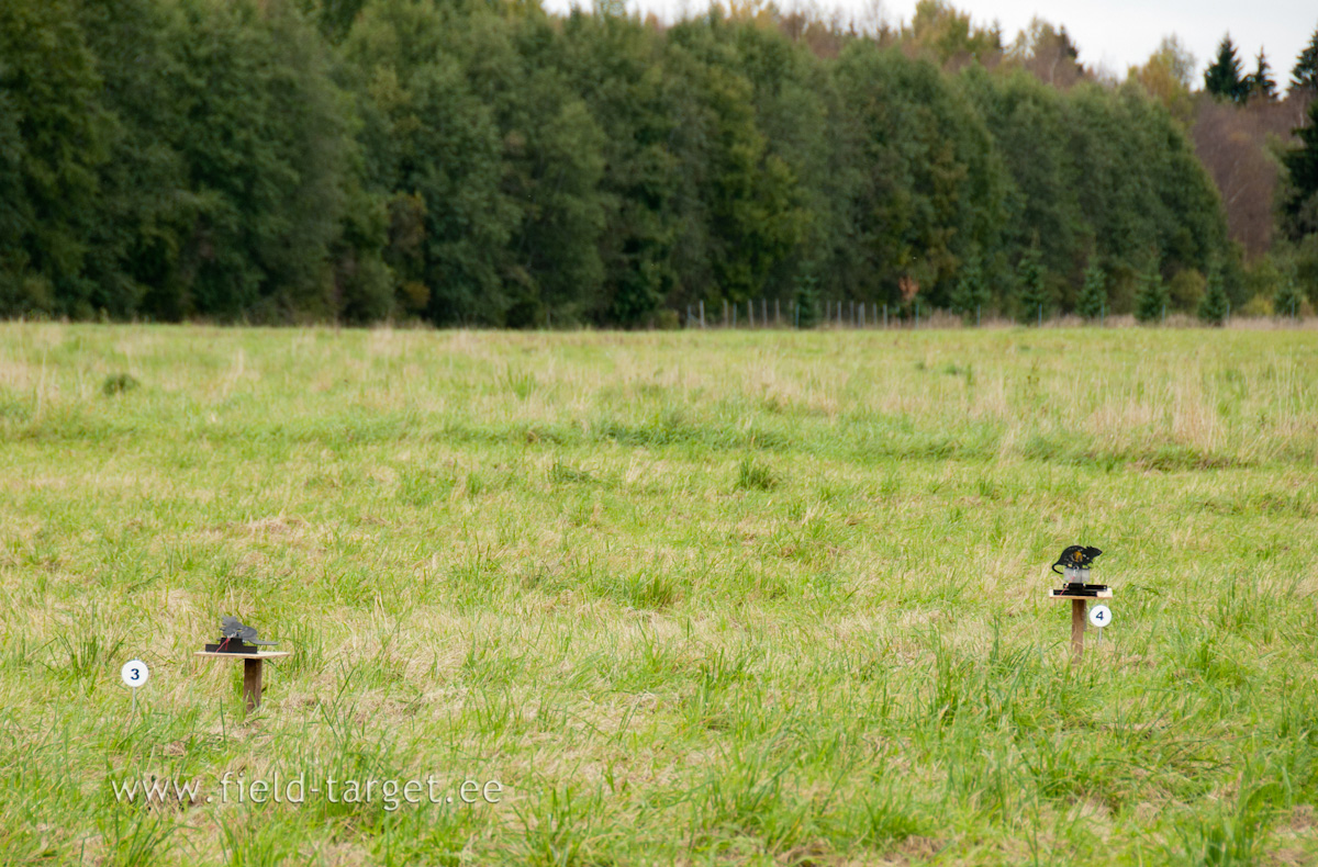 0144   Margid, mida umber lasti